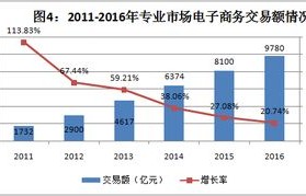 电子商务专业提升计划书