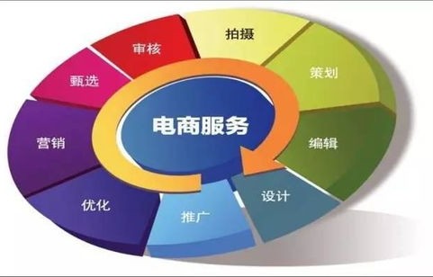 电子商务专业化的意思