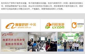 经济信息系电子商务专业