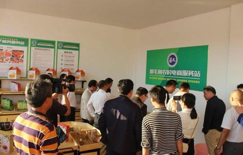 青农电子商务专业怎么样