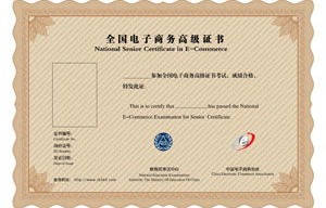 电子商务专业可以考的证