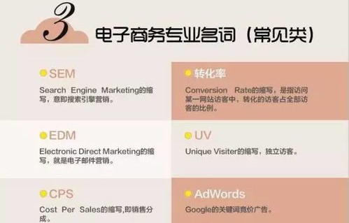 我对电子商务专业的认识