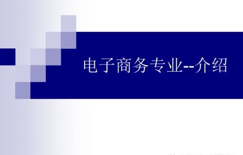 计算机专业报电子商务