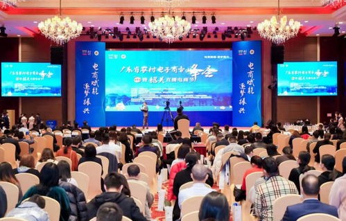 韶关专业电子商务供应商