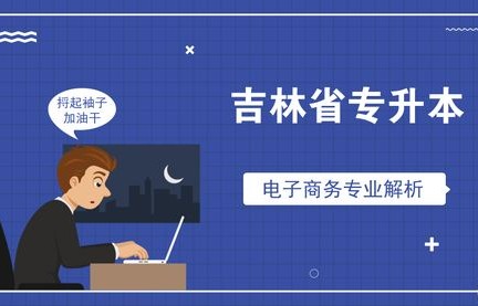 电子商务专业好升本科吗