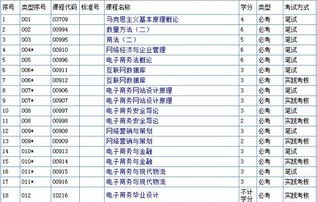 自考专业课程电子商务
