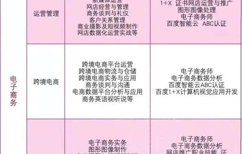 电子商务本专业就业取向