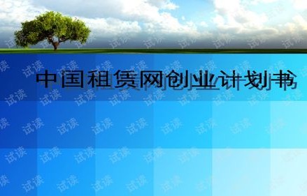 专业电子商务创业计划书