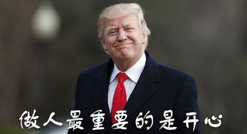 特朗普言论引热议，哈佛学子是否真的连2+2都不会？