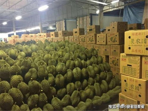 榴莲又便宜了！消费者欢呼，果农忧心，市场究竟发生了什么？