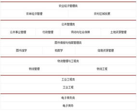 电子商务是哪门专业类别