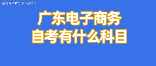电子商务专业能考注会吗