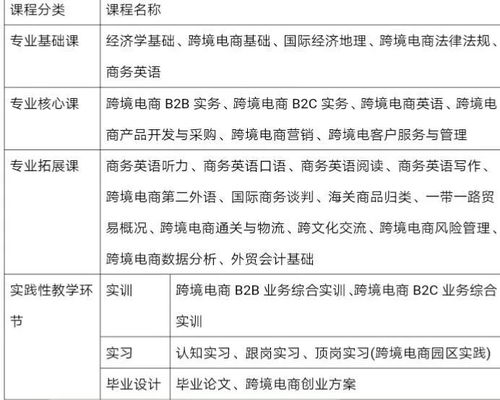 电子商务专业可以考教资