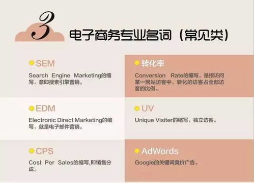 我对电子商务专业的认识