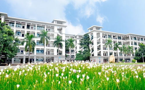 广外商学院电子商务专业